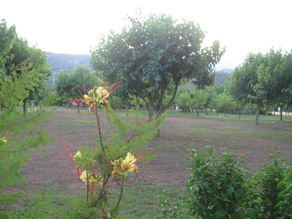 Engin Pension Çıralı Exterior foto