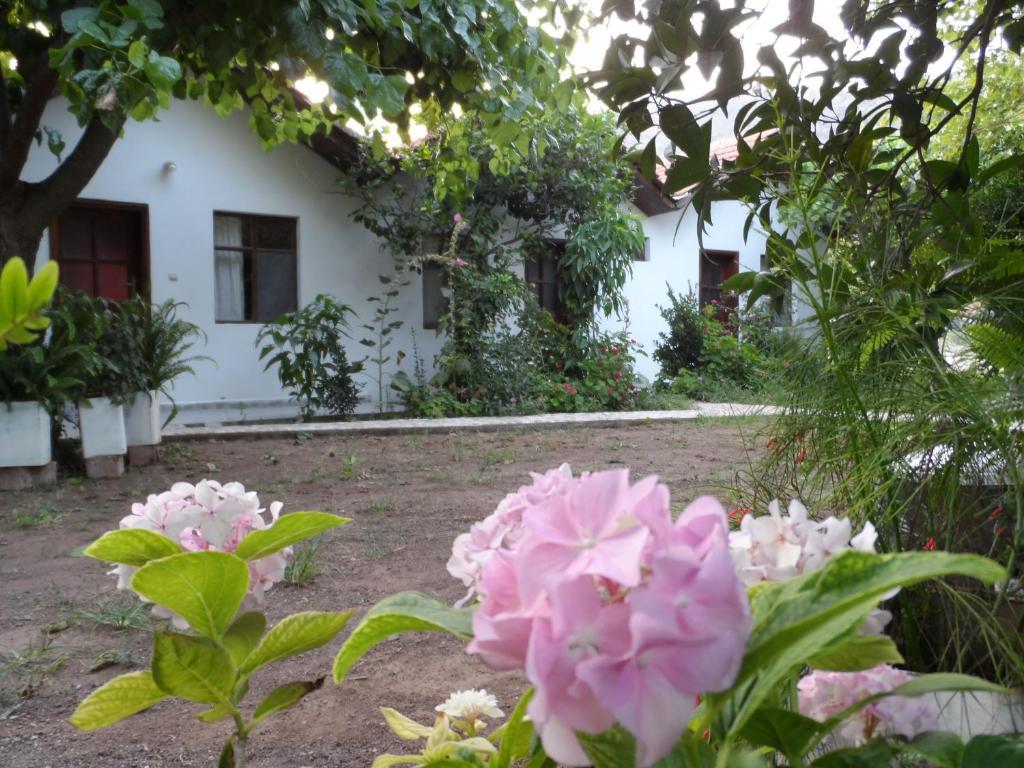 Engin Pension Çıralı Exterior foto