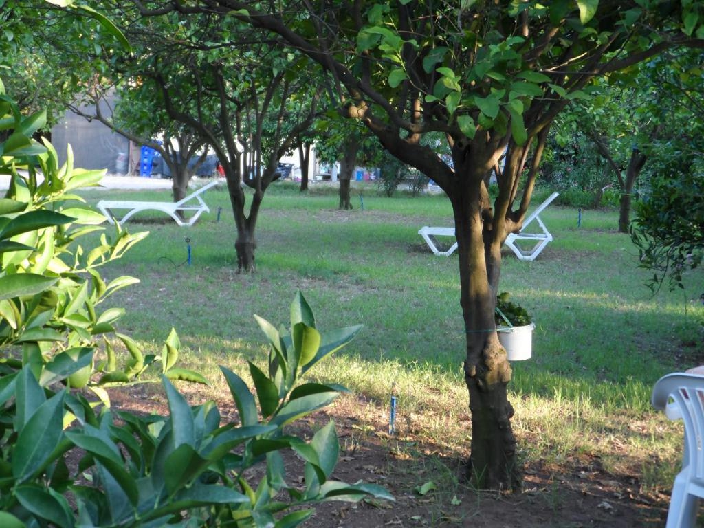 Engin Pension Çıralı Exterior foto