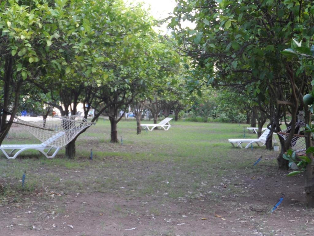 Engin Pension Çıralı Exterior foto